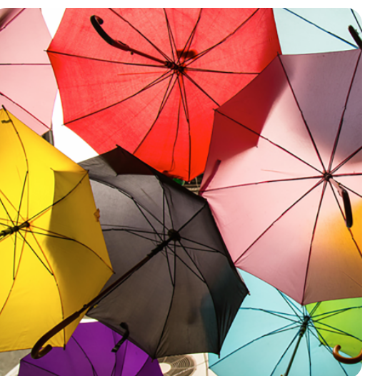 premium-rainwear-solutions-designer-umbrellas--heavy-duty-protection