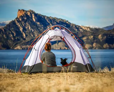 moss tent