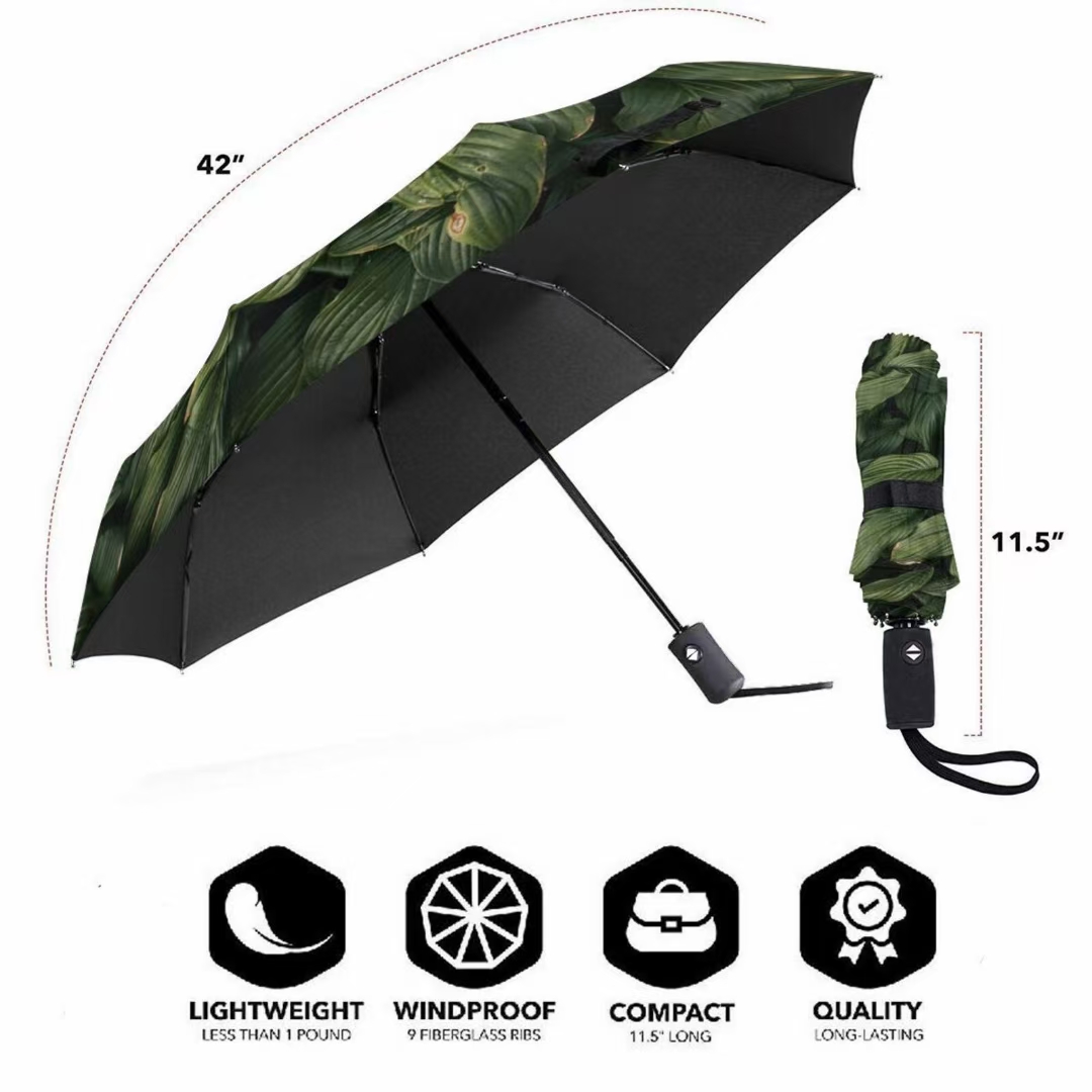 clear dome umbrella