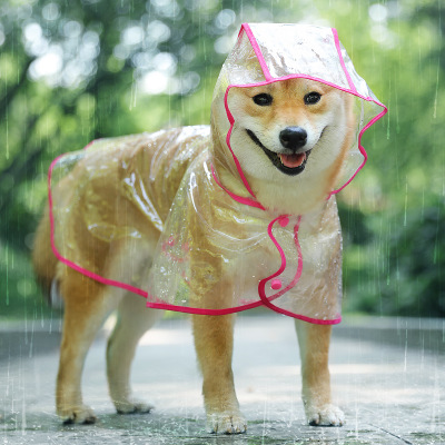 mens warm raincoat